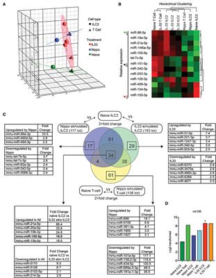 MicroRNA-155 Protects Group 2 Innate Lymphoid Cells From Apoptosis to Promote Type-2 Immunity